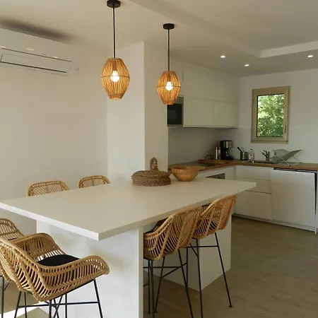 Climatise Avec Piscine, Terrasse Et Parking, - Fr-1-251-775 Apartment *